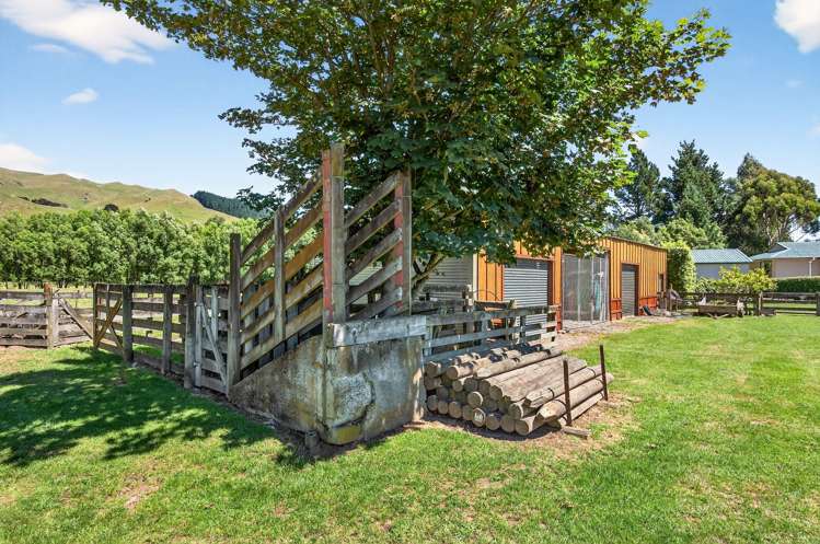 869 Norfolk Road Waingawa_23