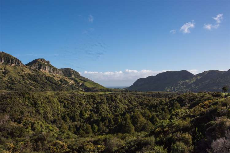 60 Snake Creek Road Kahurangi National Park_6