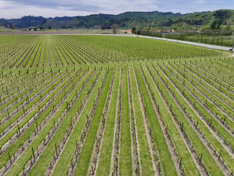 2057 Matawai Road Te Karaka_15