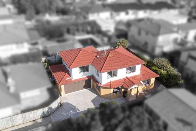 470a Hillsborough Road Mount Roskill_1