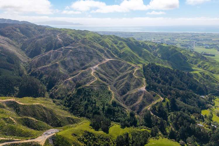 170 Mangaone North Road Te Horo_16