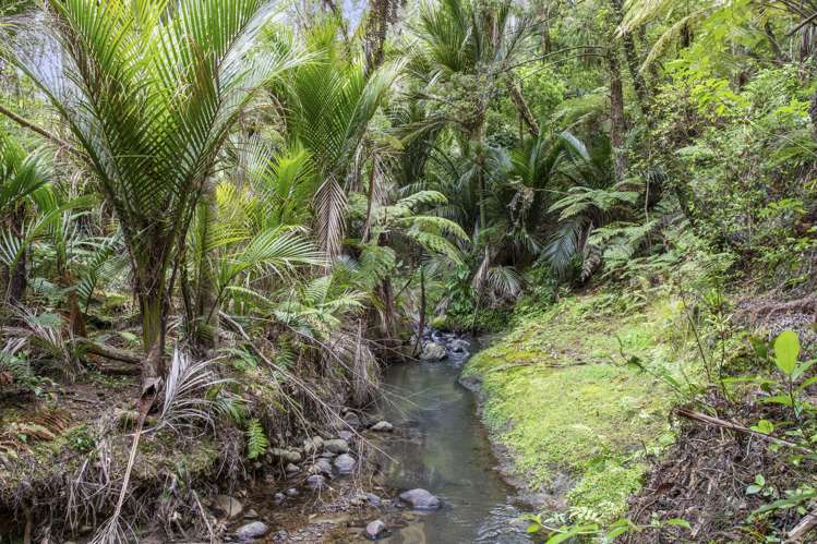 44 Grassmere Road Henderson Valley_11