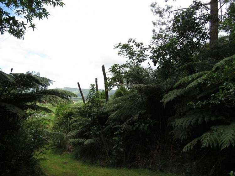 24 Goldfields Road Karangahake_9