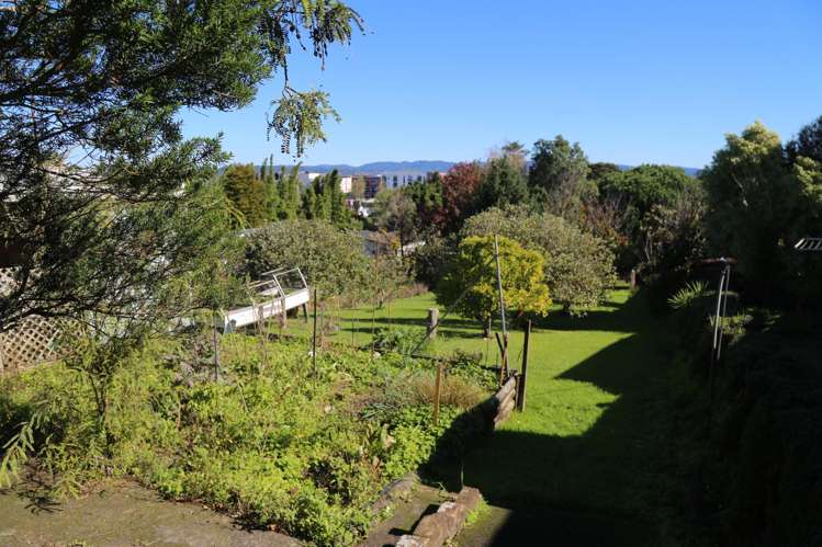 41 Roberton Road Avondale_30