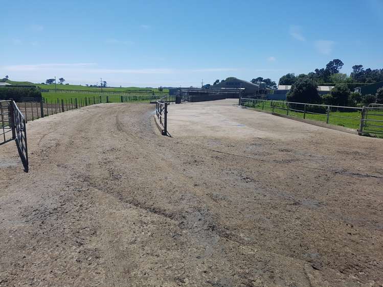 139 Bayly Road Warea_22