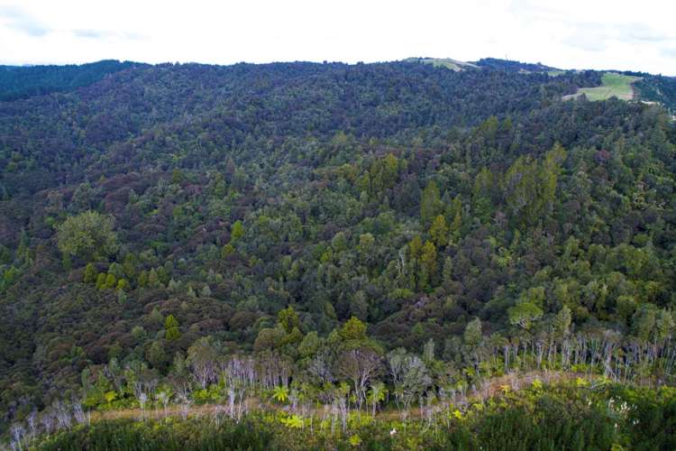 448 Moir Hill Road Warkworth_31