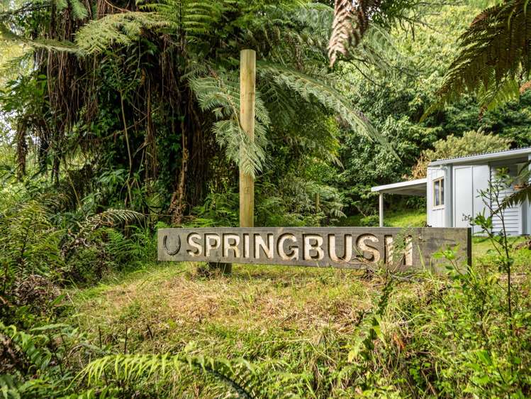 217 Soldiers Road Lower Kaimai_31