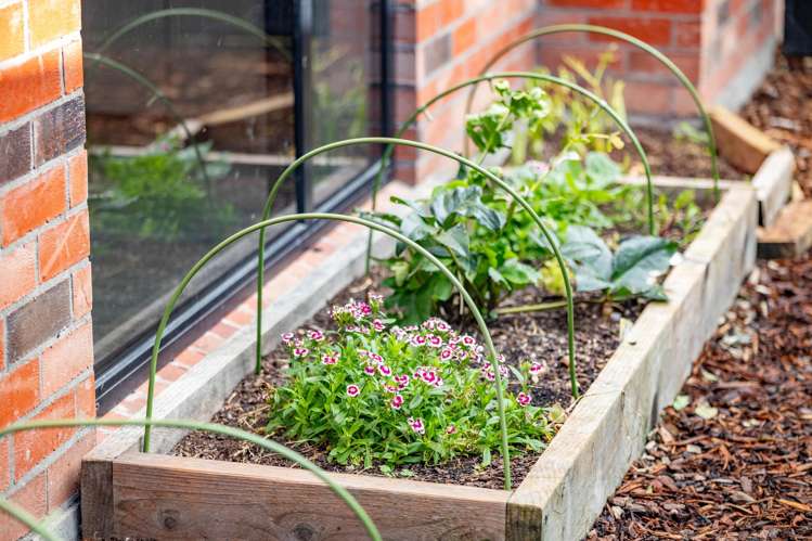 6 Werewere Street Morrinsville_26