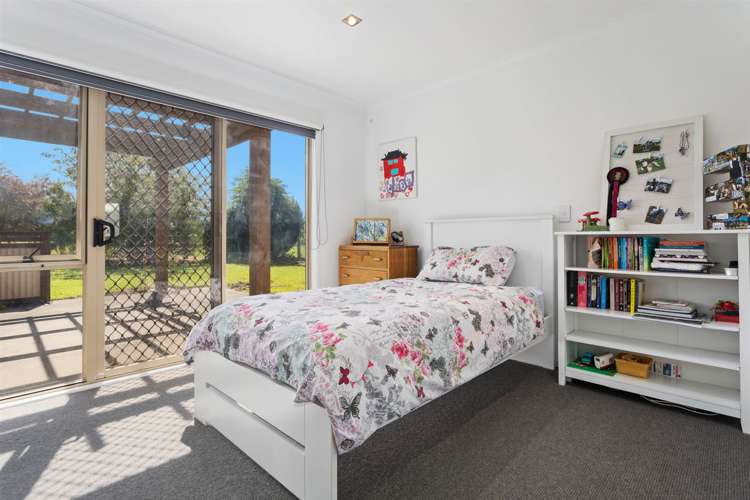 4 Pukeko Lane Rotoma_8