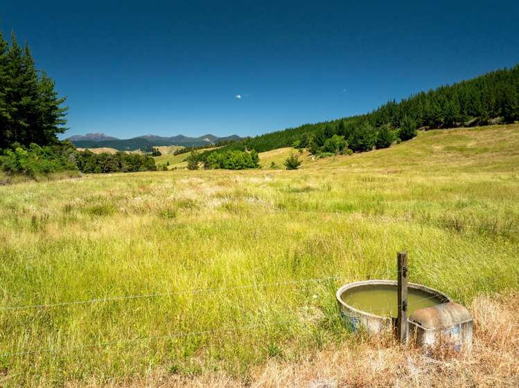 240 Teapot Valley Road Brightwater_31