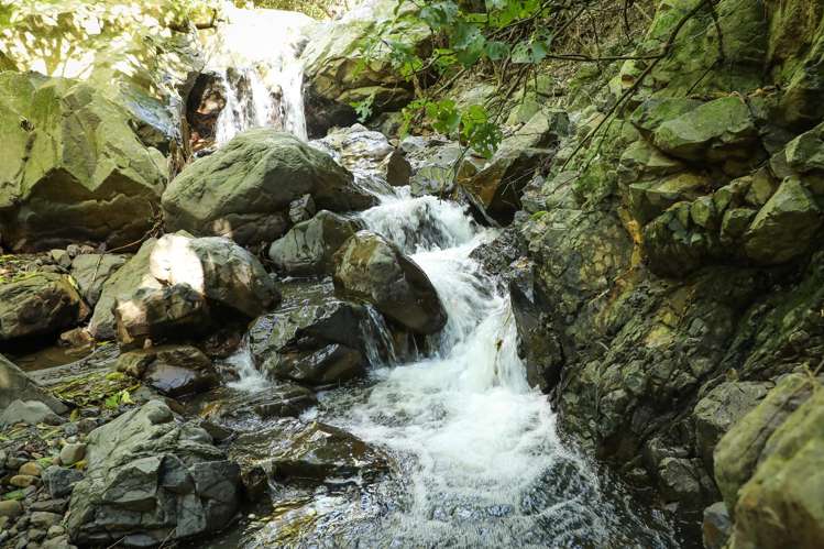 106 Harrison Hill Road Aokautere_11