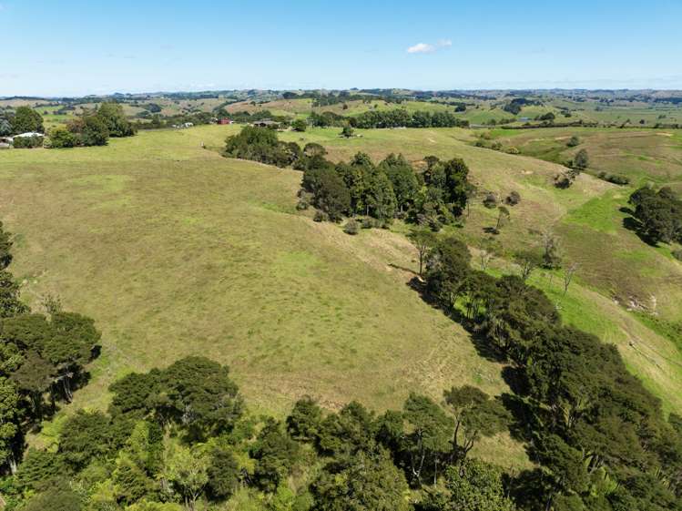 1761 Highway 22 Pukekawa_33