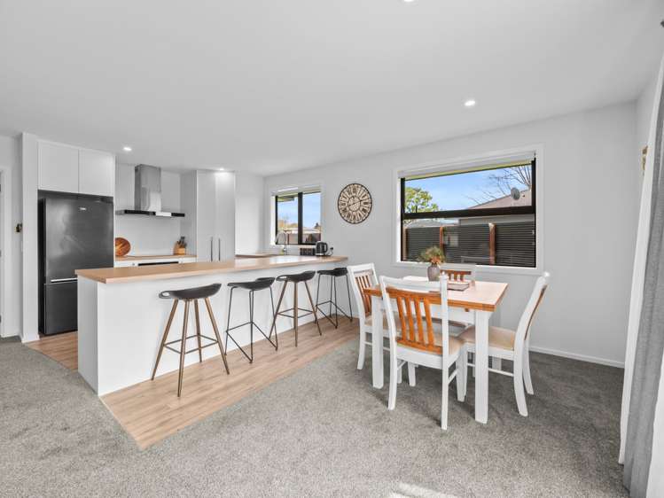 20 David Street Hinds_5