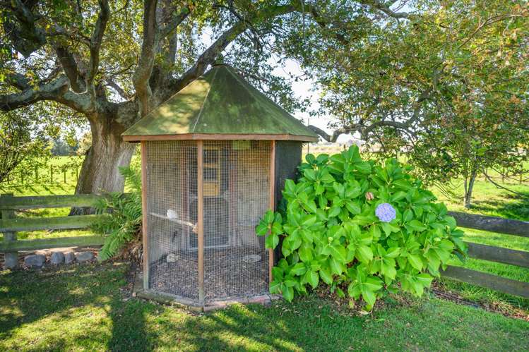 176 Kairanga Bunnythorpe Road Bunnythorpe_40