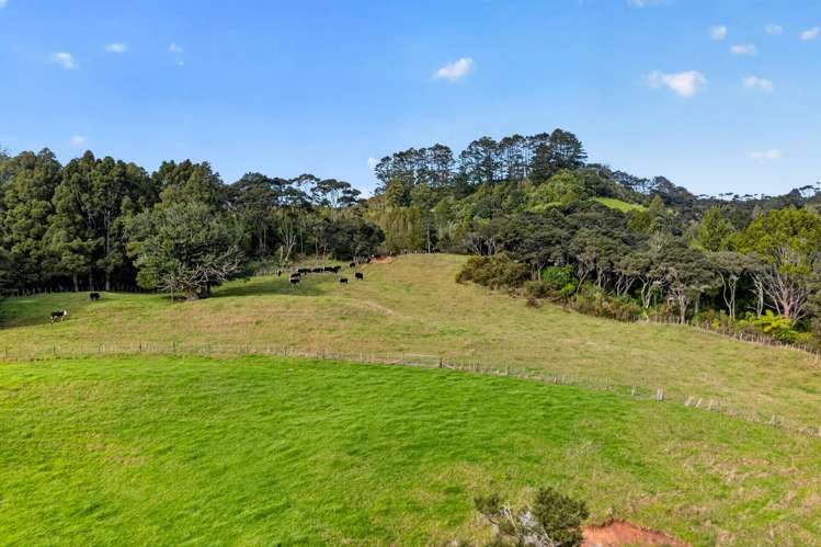 Lot 2 Annett Road Kumeu_11