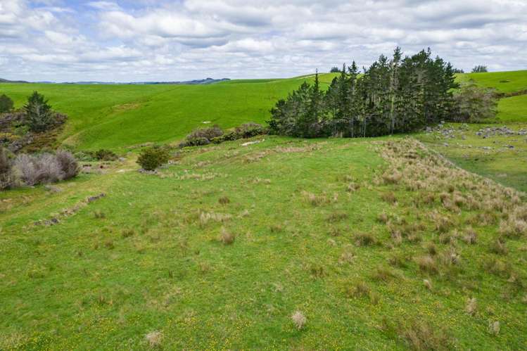 183A Wiroa Road Kerikeri_11