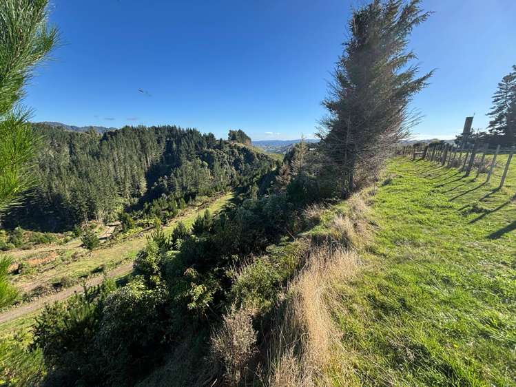 81D Middle Road Raetihi_7