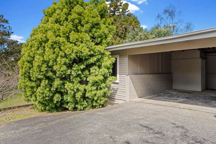 2/237 Rangatira Road Beach Haven_8