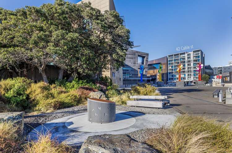 1C/42 Cable Street Te Aro_25