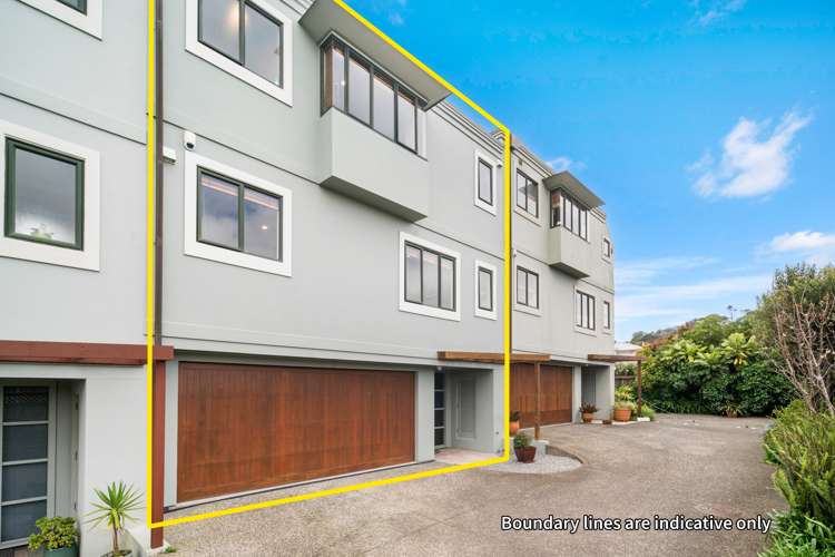 624c Manukau Road Epsom_16