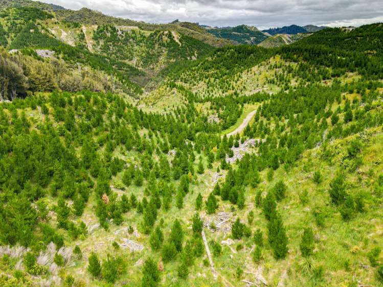 Rangitatau East Road Kai Iwi_5