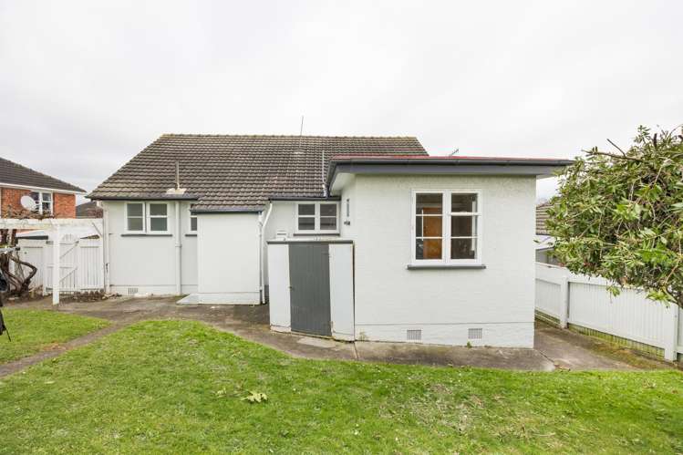5 Ngarimu Street Roslyn_17