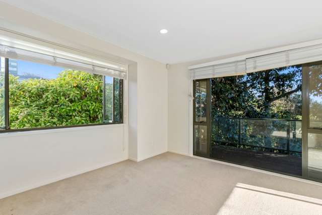 3a Laxon Terrace Remuera_4