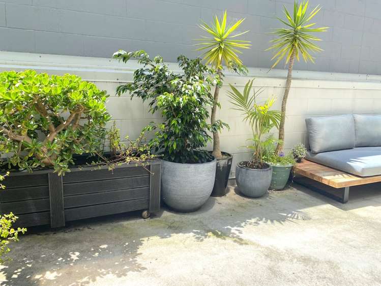 8/8 Clayton Street Newmarket_14