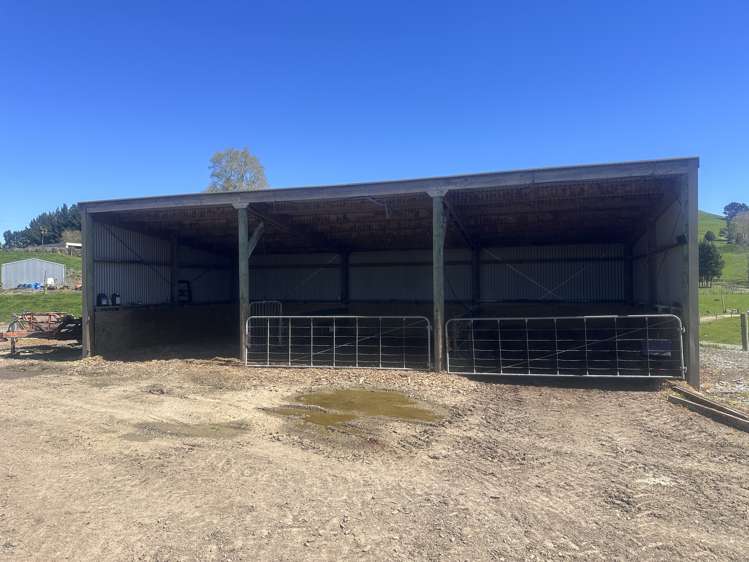 703 Bayley Road Te Awamutu_5