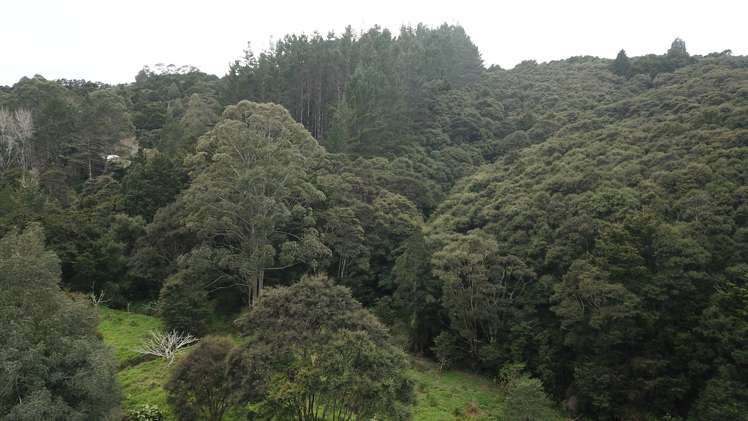 Mata Road Kohukohu_11