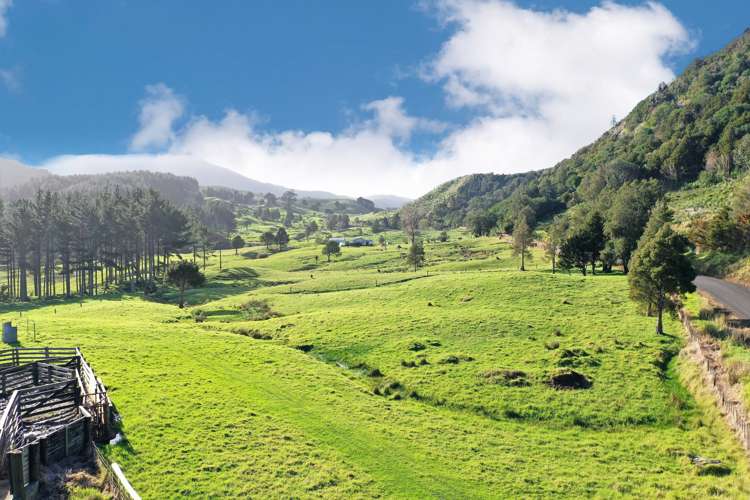 2288 Waihue Road Dargaville Surrounds_10