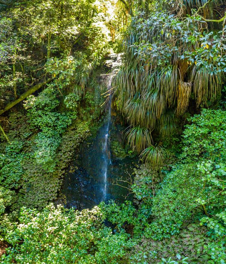 8 Natusch Road Belmont_18