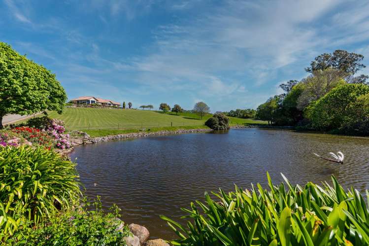 3532 Waimate Highway, Morven Waimate_25