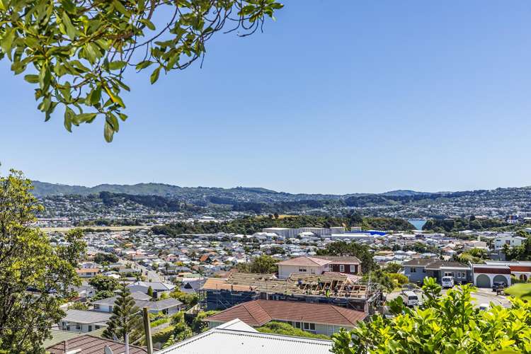 52 Wilberforce Street Miramar_17