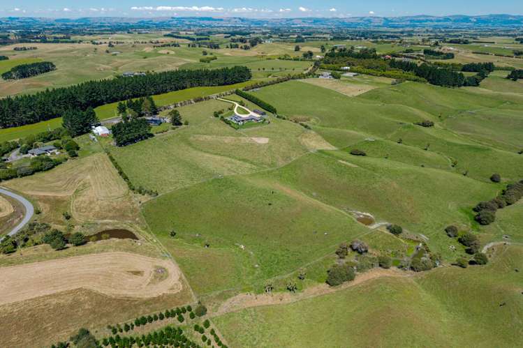 151 Mount Stewart Halcombe Road Sanson_59