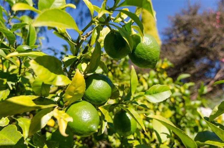 21a Kempton Street Greytown_16