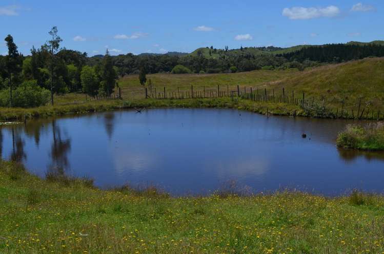 1539 Waitaanga Road Ohura_4