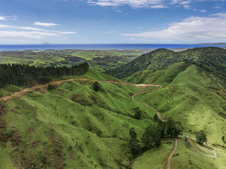 284 McCarthy Road Opotiki_8