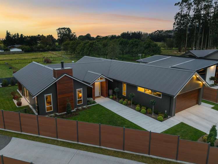 25 Phoenix Palms Grove Levin_22