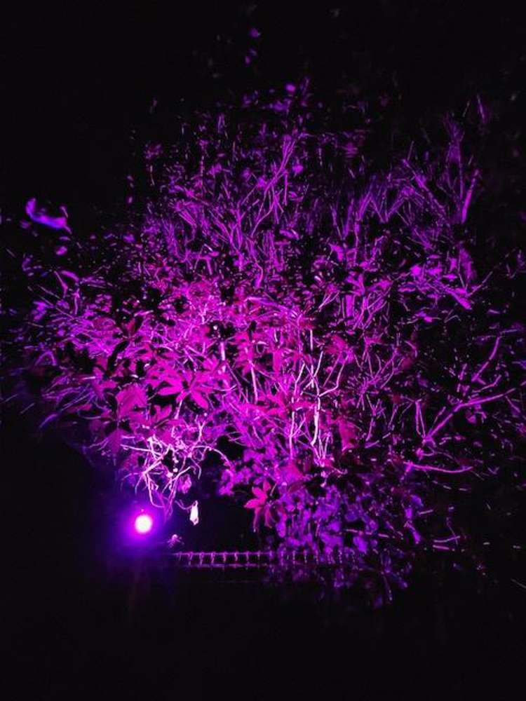 8 Saint Annes Square Tawa_39