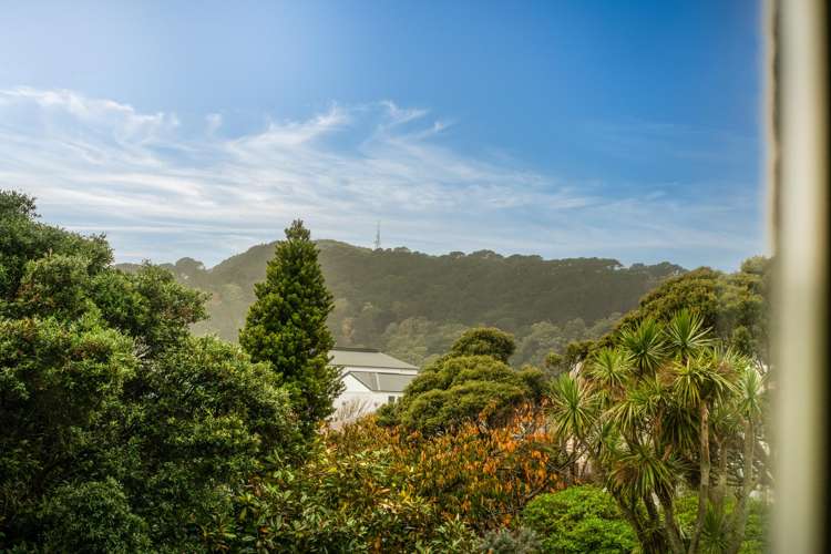 28W Bidwill Street Mount Cook_7