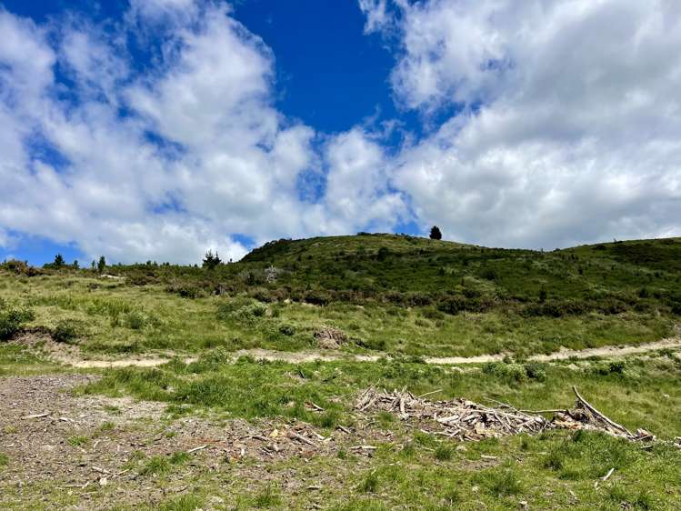 Lot 1 Gaudion Road, Peebles Oamaru_13