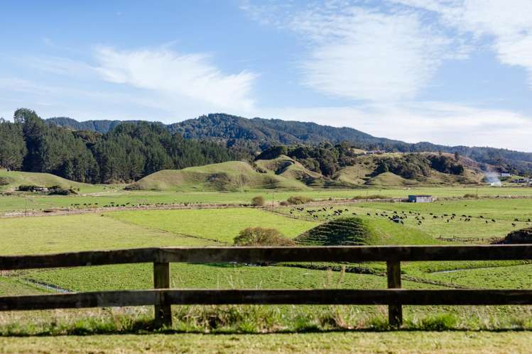 113C Downard Road Awakeri_18