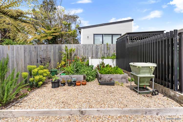 205/9 Rawalpindi Street Mt Albert_13