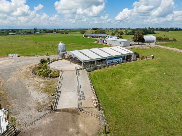 224 Herbert Road Morrinsville_6