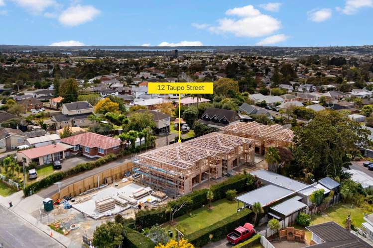12 Taupo Street_1
