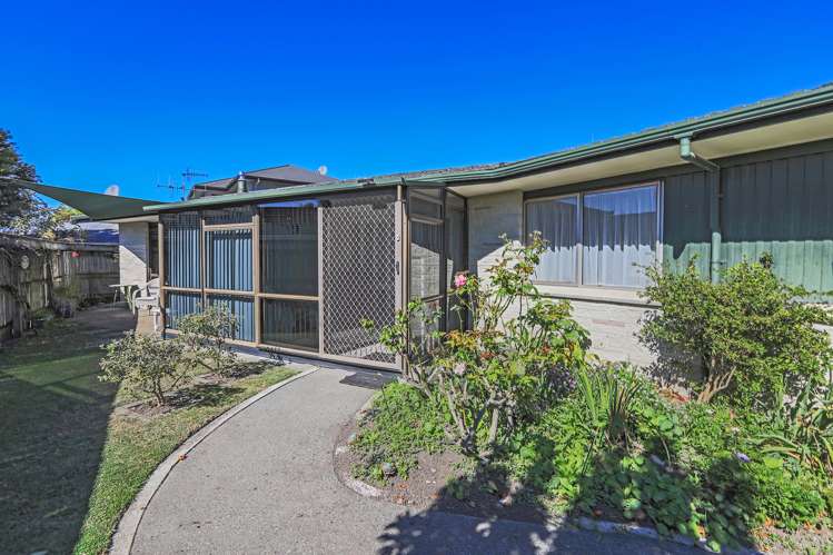 23 Avondale Road Taradale_11