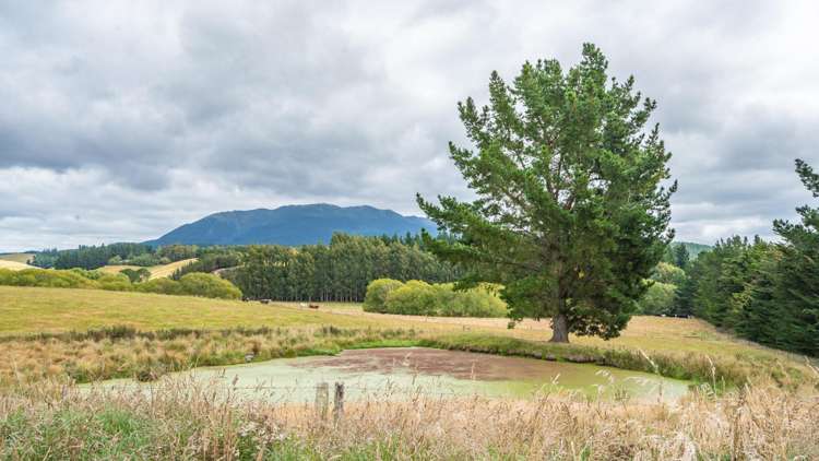 421 Cramptons Bush Road Broomfield_10