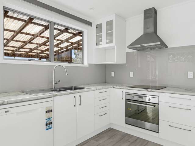 28 Terra Nova Street Glen Eden_4