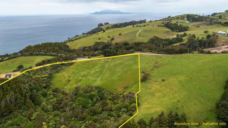 55 M Greenwood Road Leigh_8